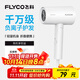 飛科（FLYCO）負離子電吹風(fēng)機家用便攜出游速干冷熱風(fēng)大功率吹風(fēng)筒FH6276