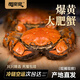 【活蟹】蟹爽爽大閘蟹鮮活全母蟹2.8-3.1兩10只螃蟹中秋節禮品盒京東自營(yíng)超市源頭直發(fā)