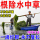 魚(yú)塘除草專(zhuān)用i藥水草清除劑滅菱角水葫蘆水花生克星爛根劑新型肥 【一滴見(jiàn)效】 100ml 1瓶