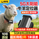 閑鳥(niǎo)牛羊馬定位器5G動(dòng)物山區放牧防丟防水北斗衛星精準遠程追蹤神器 牛羊5G加強版1W+精準定位首年版 超長(cháng)待機防水