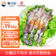 獐子島 冷凍整只魷魚(yú)1斤 5-7條 鐵板魷魚(yú)火鍋燒烤食材 海鮮軟足