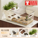Aseblarm烏龜飼養缸家用爬寵客廳大容量專(zhuān)用收納箱生態(tài)造景曬爬臺桌面龜缸 大號烏龜缸（贈爬臺+花盆）