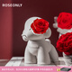 ROSEONLY諾誓永生花玫瑰公仔甜心兔告白熊嘻嘻貓獨角獸送女友生日告白禮物 守愛(ài)狗-小號-紅色