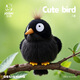 捉趣叉尾太陽(yáng)鳥(niǎo)毛絨玩具可愛(ài)小鳥(niǎo)公仔睡覺(jué)抱枕女孩小玩偶娃娃禮物 八哥 全長(cháng)約11cm