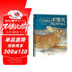 國際繪本大師經(jīng)典：下雪天 3-6歲 童立方出品