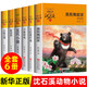 新華書(shū)店正版 沈石溪品藏書(shū)系動(dòng)物小說(shuō)全集36冊禮盒裝新老版本隨機 狼王夢(mèng)沈石溪的書(shū)全套系列第七條獵狗 雪豹悲歌 海豚之歌9-10-12-15歲兒童文學(xué) 學(xué)生課外書(shū) 【第四輯】沈石溪動(dòng)物小說(shuō) 6冊
