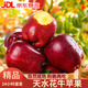 天水花牛蘋(píng)果【JD快遞—送到家】蛇果時(shí)令水果特大新鮮香甜粉面 4.5斤 | 大果80mm+ | 9-12枚
