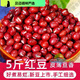 東北黑龍江紅小豆批發(fā)紅豆農家自種新紅小豆紅豆五谷豆沙 紅豆5斤