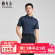雅戈爾（YOUNGOR）短袖POLO衫男桑蠶絲柔軟彈性平滑光潔雅致易打理商場(chǎng)同款合款 藏青 2XL