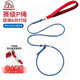 DSRAWMYT P繩 狗狗牽引繩 P鏈 遛狗鏈子 小中大型犬訓犬防爆沖寵物用品