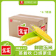 佳農寶菜山東新鮮水果玉米帶綠皮單根200g+凈重4.6斤4-7根源頭直發(fā)