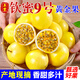 顧果鮮廣西欽蜜9號黃金百香果新鮮雞蛋白香果大果醬原漿現摘生鮮水果 5斤 精選裝【約5-7個(gè)/斤】
