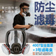 普達防毒面具全面罩含3號濾毒盒套裝 防塵/醛/苯/醚等有機氣體噴漆印刷防毒面罩