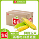 佳農寶菜山東水果甜玉米5-9根裝顆粒飽滿(mǎn)凈重6.18斤源頭直發(fā)