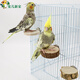 寵兒新家鸚鵡實(shí)木跳板 花椒木跳臺(tái) 松木休息臺(tái) 鳥玩具 鳥用品秋千鸚鵡玩具 花椒木跳板