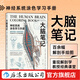 大腦筆記 神經(jīng)系統涂色學(xué)習手冊 重現解剖學(xué)教授經(jīng)典課堂 腦神經(jīng)科學(xué)版秘密花園 后浪正版