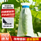 貝傅特 瓜果防蟲(chóng)網(wǎng)袋 水果套袋套瓜袋防蟲(chóng)防鳥(niǎo)專(zhuān)用袋種子袋水稻實(shí)驗網(wǎng)袋15*36CM（100個(gè)）絲瓜套袋 無(wú)紡布網(wǎng)袋