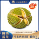 金尼堯貓山王榴蓮馬來(lái)西亞D197液氮冷凍生鮮水果 凈重2.5-3.0斤【保4房 熱銷(xiāo)】