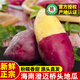 薯鮮氣海南橋頭地瓜 當季新鮮澄邁富硒板栗薯粉糯香甜黃心番薯 產(chǎn)地直銷(xiāo) 3斤 精選金手指果 海南澄邁原產(chǎn)地發(fā)貨