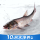 【吊水魚(yú)】鮮活花鰱魚(yú)1.5Kg/條