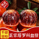 正宗重慶萬(wàn)州塔羅科血橙9斤新鮮當季水果玫瑰香橙冰糖中華紅血橙L 8斤大果【甄選現摘】長(cháng)壽湖產(chǎn)區
