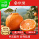 京覓四川春見(jiàn)耙耙柑粑粑柑年貨水果凈重4.5斤單果160g+源頭直發(fā)包郵