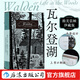 【上書(shū)口刷銀】瓦爾登湖 插圖珍藏版 自然隨筆之父梭羅代表作 翻譯名家孫致禮 自然極簡(jiǎn)隱居 版畫(huà) 經(jīng)典插圖名著(zhù) 文學(xué)散文書(shū)籍 后浪正版