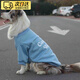 TMJD MISS新年狗狗衣服大型犬秋冬新年保暖衣金毛拉布拉多邊牧杜賓大狗衣服 天藍色狗狗衛衣 7碼【建議24-32斤】