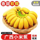 栩季（XUJI）廣西小米蕉新鮮香蕉9斤當季水果整箱自然熟小香芭蕉海南皇帝香蕉 3斤