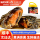 【發(fā)順豐】陸龍兄弟醉蟹 生腌非熟醬香醉河蟹開(kāi)蓋即食寧波風(fēng)味 【冷凍款/偏淡】海諾醉蟹1680g