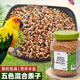 茨格曼鸚鵡飼料1200ml混合鳥(niǎo)糧 五色黍子牡丹虎皮玄鳳八哥畫(huà)蘆丁雞飼料