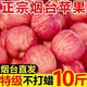 正宗煙臺棲霞紅富士10斤裝蘋(píng)果現摘新鮮水果脆甜多汁冰糖心蘋(píng)果 煙臺蘋(píng)果 3斤裝 試吃
