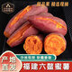傾睦正宗福建六鰲蜜薯沙地軟糯紅薯新鮮現挖山芋富硒糖心地瓜紅心番薯 3斤裝中小薯【單果50-150g】