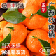 2025正宗廣西砂糖橘新鮮水果蜜桔香甜橘子貢柑現摘現發(fā)5斤包郵A3 3斤【精選裝】