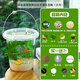 生態(tài)瓶DIY小魚(yú)手提塑料微景觀(guān)淡水冷水觀(guān)賞魚(yú)蝦真水草活體學(xué)校 小魚(yú)款菲律賓白沙手提生態(tài)瓶（大號）