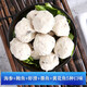 魯贏(yíng)海峰墨魚(yú)丸蝦滑黃花魚(yú)海參鮑魚(yú)丸爆蛋花枝丸麻辣燙同款實(shí)心火鍋燒烤 200g/袋(海參丸/鮑魚(yú)丸/墨魚(yú)丸/蝦滑丸/黃花魚(yú)丸各1包)