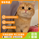 橘貓幼崽田園貓貍花貓幼貓三花貓奶牛貓黑貓活體大胖橘白貓貍白貓 田園級 網(wǎng)紅橘貓【驅蟲(chóng)+疫苗已做】 公