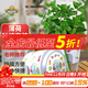 德沃多肥料薄荷種子DIY兒童趣味種植套裝花卉綠植盆栽植物蔬菜觀(guān)察種植杯