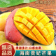 桃西村正宗海南貴妃芒果 紅金龍甜心芒果金煌金青煌芒新鮮熱帶水果整箱 3斤 中小果【單果100-150g】