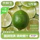京鮮生 福建塔西提無(wú)籽青檸檬 單果60g+ 凈重1斤裝 源頭直發(fā)包郵