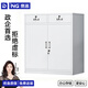 奈高（NAIGAO）矮柜鋼制儲物柜鐵皮柜文件柜財務(wù)辦公柜員工資料柜檔案柜茶水柜