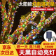 黛莉嘉爾太陽(yáng)能樹(shù)燈氛圍燈纏繞掛樹(shù)上裝飾滿(mǎn)天星led彩燈串燈戶(hù)外防水燈帶