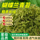 花大師青苔水苔蝴蝶蘭專(zhuān)用土干苔蘚蘭花營(yíng)養土植料盆栽鋪面天然種植透氣 特優(yōu)青苔200g 長(cháng)絨苔蘚 散開(kāi)12升