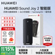 華為Sound Joy 2智能音箱第二代便攜式藍牙音響電腦桌面戶(hù)外音箱立體聲低音炮語(yǔ)音AI小藝超長(cháng)續航 Sound Joy2音箱-智能版-曜石黑