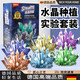RICH YOUR HOME德國品質(zhì)水晶種植DIY兒童科學(xué)實(shí)驗套裝趣味親子交流化學(xué)實(shí)驗生長(cháng) 六顆裝[每種顏色各一個(gè)]+6展示盒