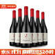 帕斯蒙火烈鳥(niǎo) 智利原瓶原裝進(jìn)口紅酒整箱 西拉Syrah干紅葡萄酒一箱6支*750ml