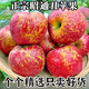 現摘現發(fā)當季云南昭通野生丑蘋(píng)果冰糖心大涼山蘋(píng)果水果 帶箱5.1斤70-80mm【彩箱＋泡沫托】