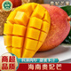 南步海南貴妃芒果 當季紅金龍辣椒芒甜心芒果煌芒應新鮮熱帶水果整箱 1斤 精選中果【單果100-150g】