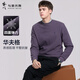 與狼共舞【重磅華夫格】圓領(lǐng)衛衣男士2025秋季新款肌理感套頭休閑上衣3041 淺紫色504 L (175)
