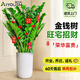 愛(ài)優(yōu)尚金錢(qián)樹(shù)盆栽客廳室內大型綠植辦公室盆景搖錢(qián)串子喬遷開(kāi)業(yè)源頭直發(fā)